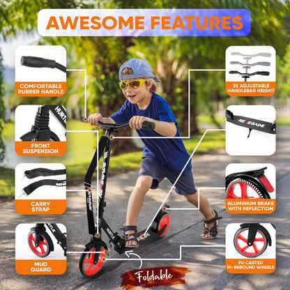 Foldable Kick Scooter